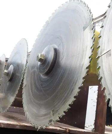 Die Säge hat eine Leistung von rund 60 kW