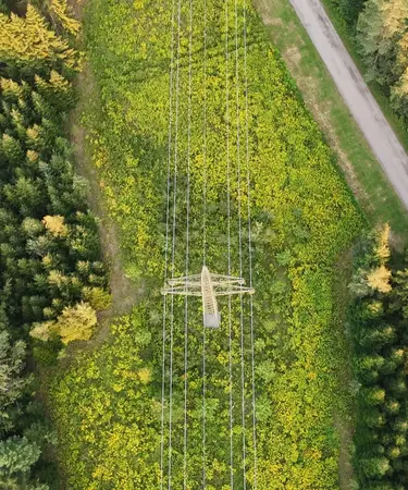 110kV-Leitung aus der Vogelperspektive in einem Waldgebiet mit Straße.