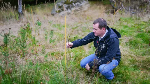 Projektleiter Patrick Picher beim Kontrollieren der Setzlinge