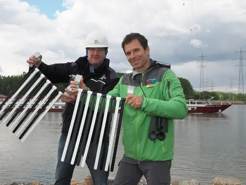 v.l.n.r.: Netz NÖ Mitarbeiter Leopold Jamöck und Georg Frank von der Nationalpark Donau-Auen GmbH zeigen am Boden die Vogelschutzmarkierungen