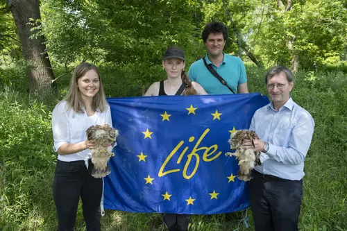 Katharina Rauch (Netz NÖ), Hannah Böing und Rainer Raab vom Technischen Büro für Biologie Mag. Dr. Rainer Raab und Heinrich Bittner, Geschäftsführer der Netz NÖ