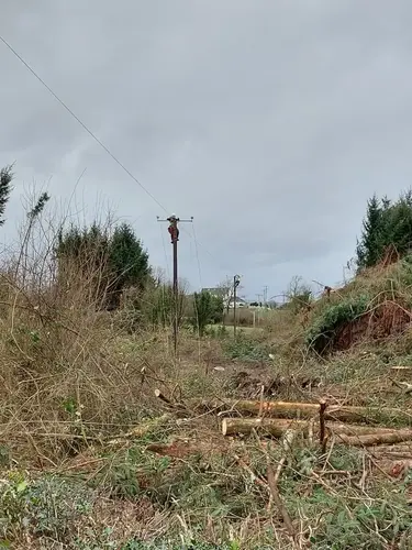 Ein Mitarbeiter bei der Arbeit