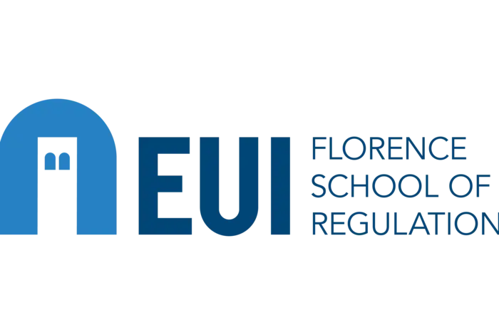 EUI Logo - Florence School auf Rehulation