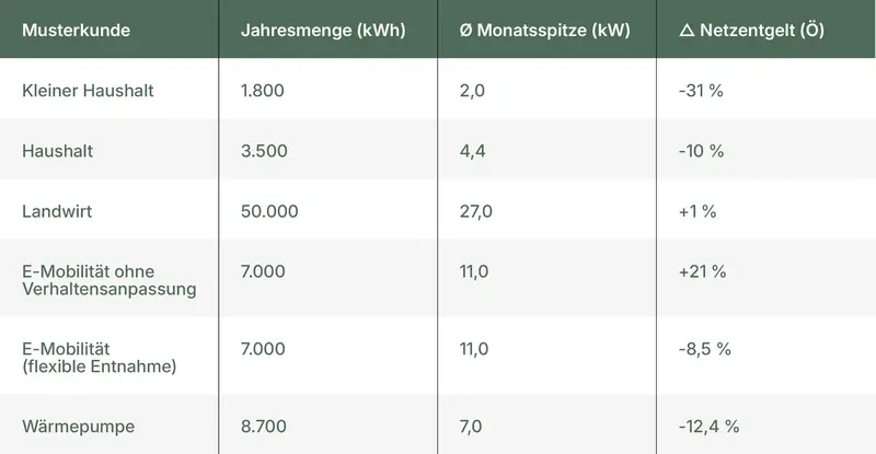 Tabelle: Musterkunden und deren Jahresverbrauch mit neuen Netzentgelten.
