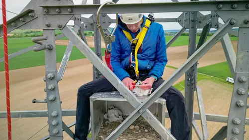 Wildtierökologe Richard Zink beim Beringen eines Sakerfalken-Jungtieres