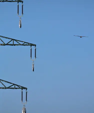 Vogel fliegt an Strommast vorbei.