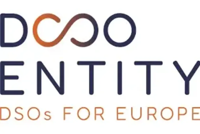Logo DSO Entity