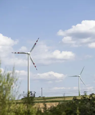 Windrad in frühsommerlicher Agrarlandschaft mit Stromleitung.