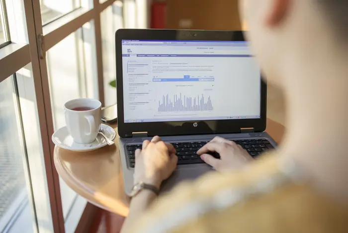 Kundin vor Laptop mit Smart Meter Portal am Screen.