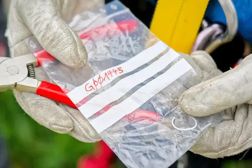  Einer der Ringe mit Gravur, welcher später verwendet wird.