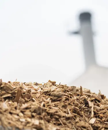 Wärmeheizwerk Guntramsdorf im Hintergrund, davor Hackschnitzel.