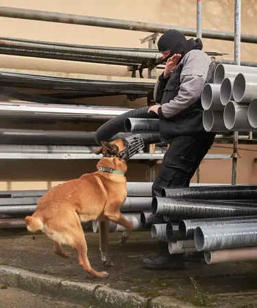  Ein Polizeidiensthund übt unter anderem für die Verteidigung gegen eine fremde Person oder dem Schutz von einem bestimmten Geländes