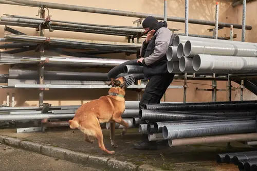  Ein Polizeidiensthund übt unter anderem für die Verteidigung gegen eine fremde Person oder dem Schutz von einem bestimmten Geländes