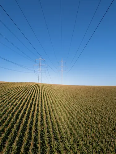 110 kV-Leitung Haag Süd über Maisfeld