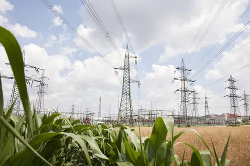 Eine Hochspannungsleitung; im Vordergrund ein Maispflanzen, dahinter ein reifes Getreidefeld.