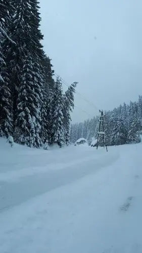Stromleitungen im Schnee