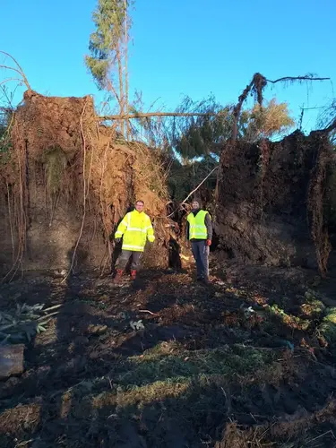 Zwei Mitarbeiter in Mitten der umgefallenen Bäume - Das Schadensausmaß war enorm.