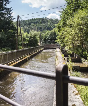 Man sei sich der Schönheit des Kamptales bewusst, betont EVN Sprecher Stefan Zach und wird bei sämtlichen Vorhaben „größtmögliche Rücksicht auf Arten- und Naturschutz nehmen“.